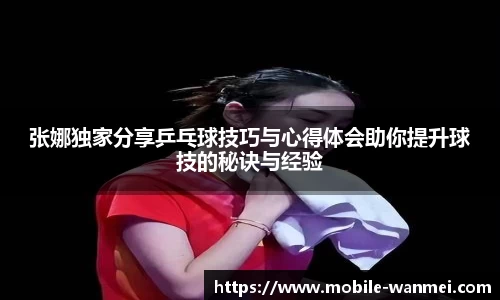 完美电竞登录入口